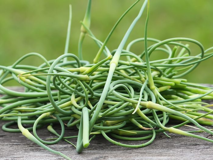Superfoods, fresh garlic scapes