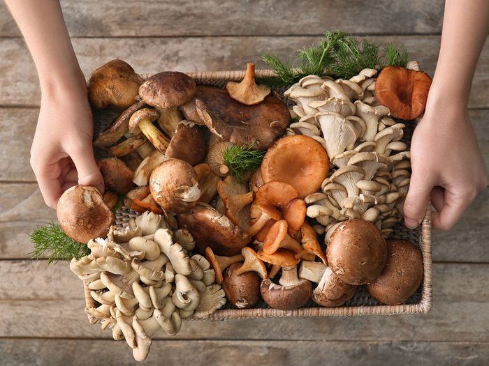 mushroom nutrition benefits