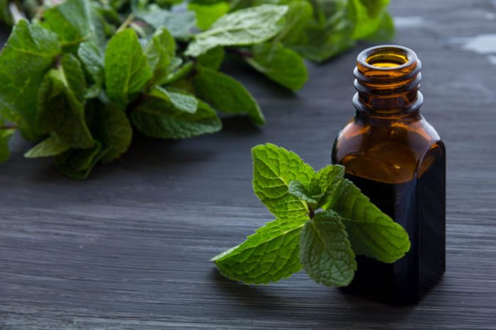 Home Remedies, peppermint