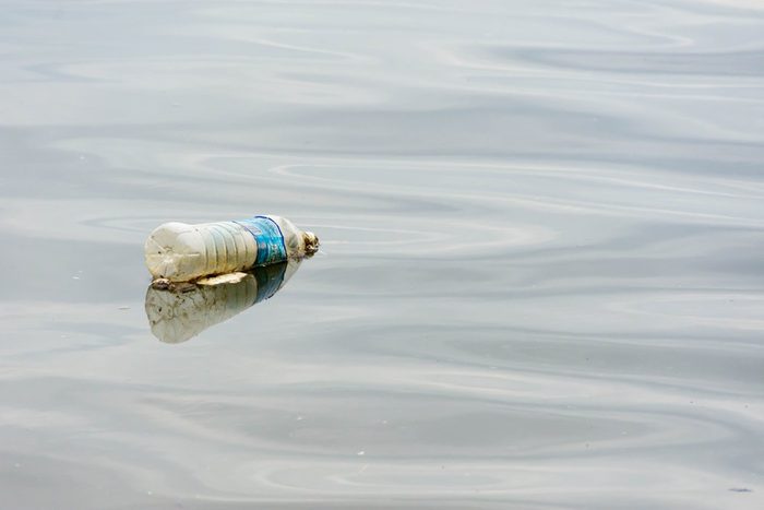 A horizontal, colored photo of a plastic bottled water floating on a river polluting the waters of Pasir Ris Beach in Singapore. Recycle to battle global warming
