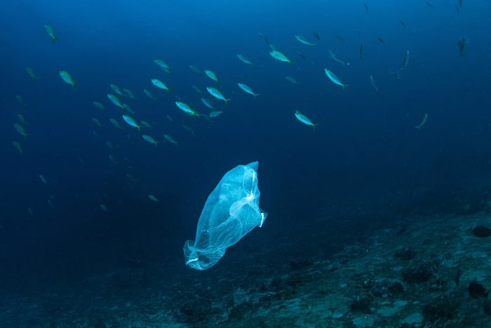 Plastic bag with school of fish, ocean pollution.