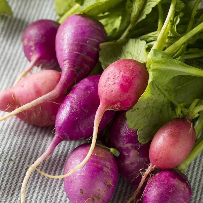 Raw Organic Pink and Purple Radishes in a Bunch