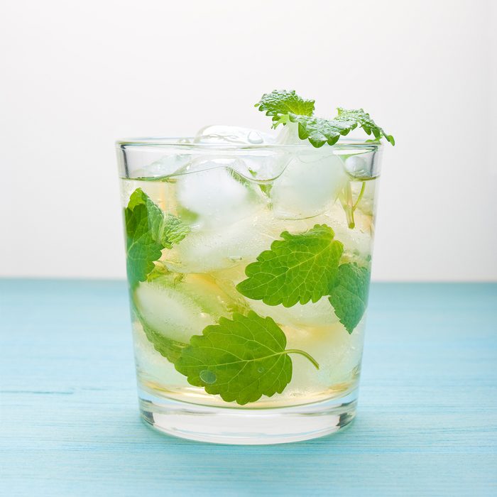 cocktail with mint and ice; Shutterstock ID 737505976; Job (TFH, TOH, RD, BNB, CWM, CM): Taste of Home