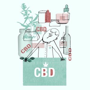 13 Facts You Need to Know About CBD