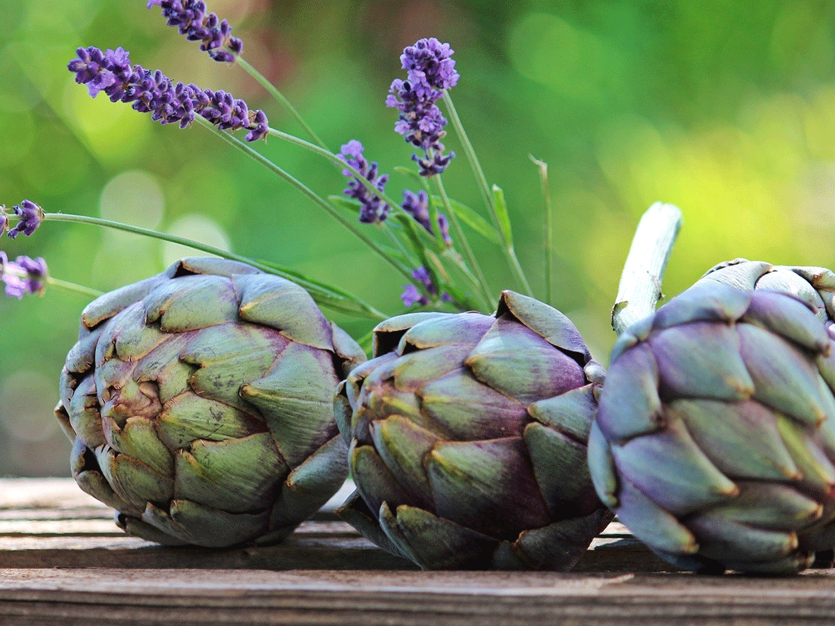 artichoke for healthy skin and hair