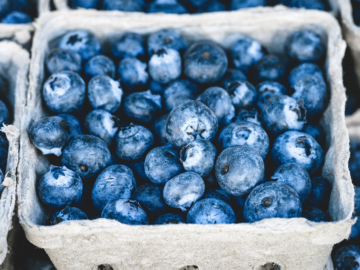 blueberries healthy skin and hair