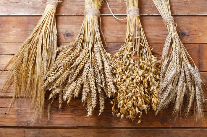 ears of wheat, rye, barley and oats on old wooden background