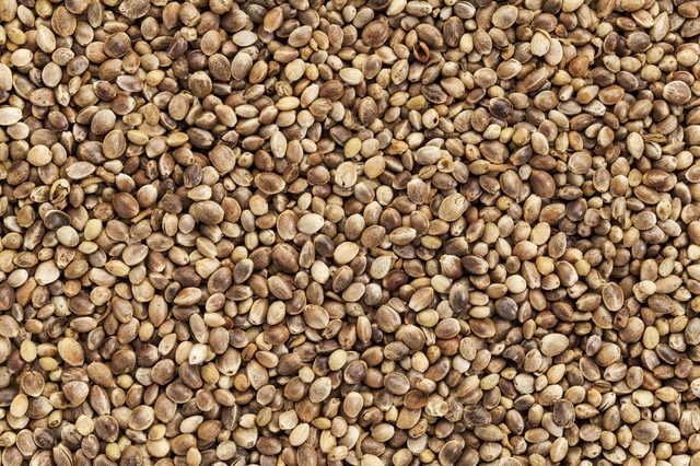 background of organic dried hemp seeds