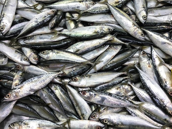 Fresh mackerel fish in market , Sea fish mackerel pile top view.