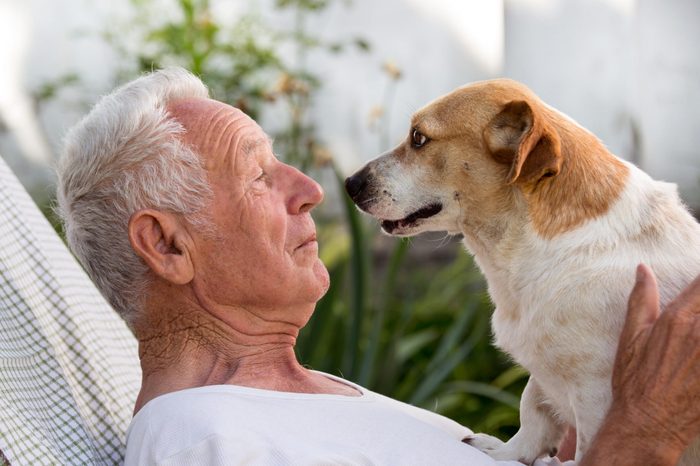 adopting an older dog