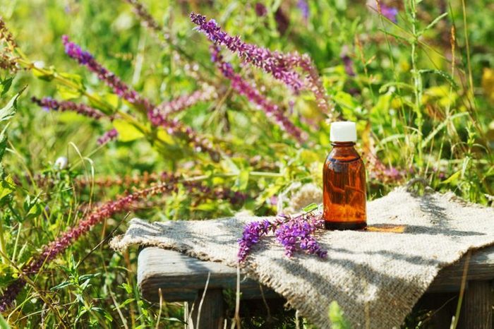 essential oil natural remedy