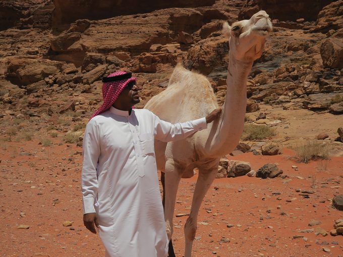 Millie - man and camel in Jordan