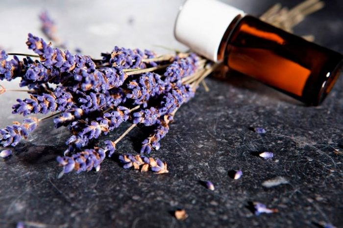 essential oils for sleep lavender