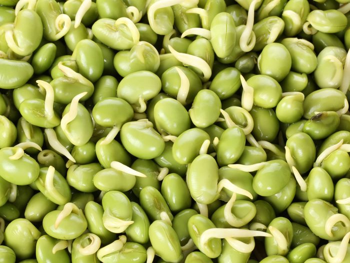 Foods You Should Never Eat Raw - beans