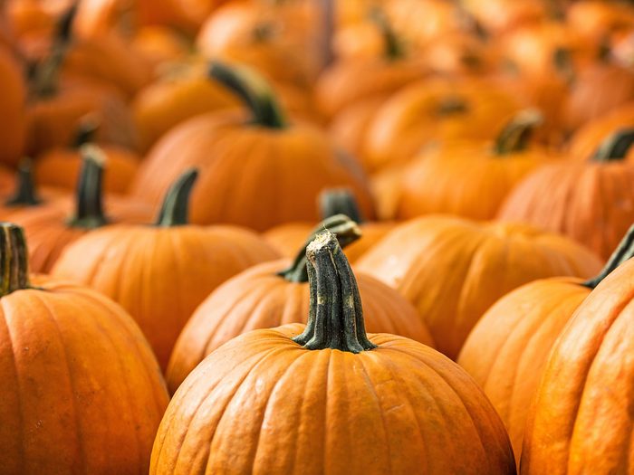 improve your eyesight - pumpkin