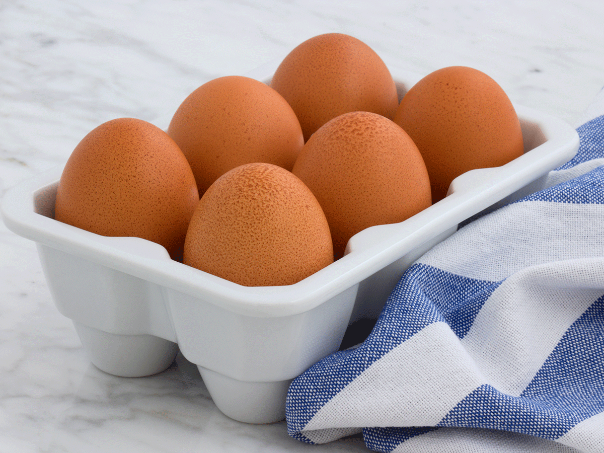 Free-Range Eggs | Cage-Free Eggs | Organic Eggs