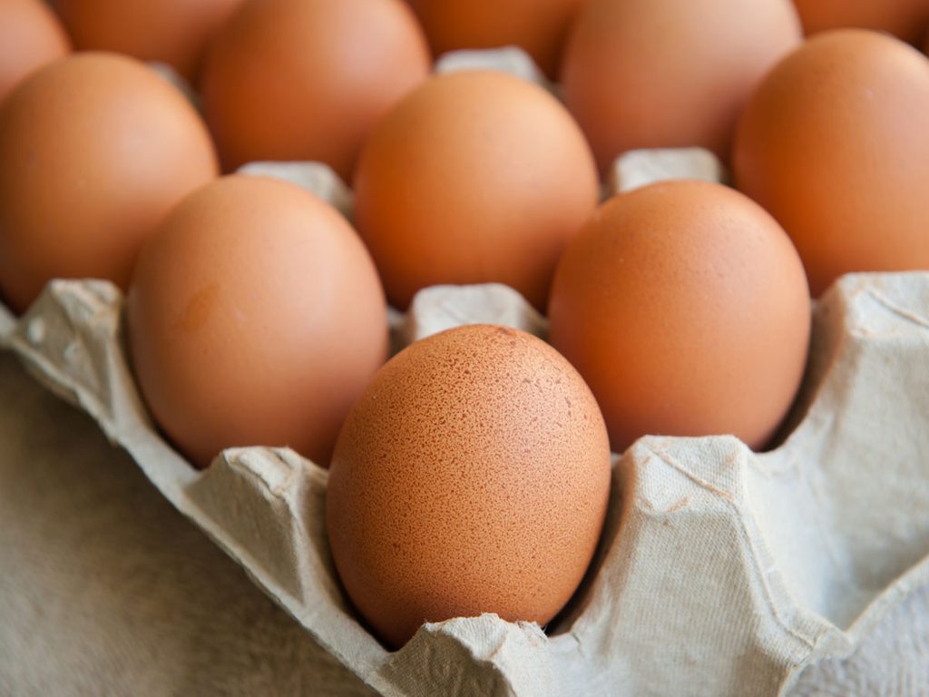 refrigerate eggs