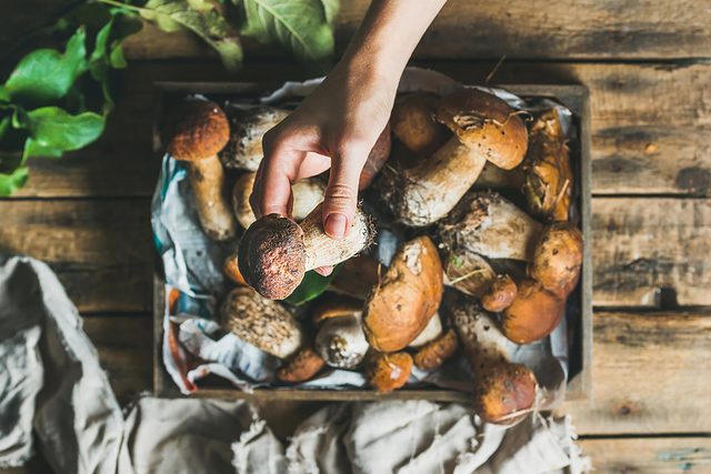 Boost your immunity naturally | Mushrooms