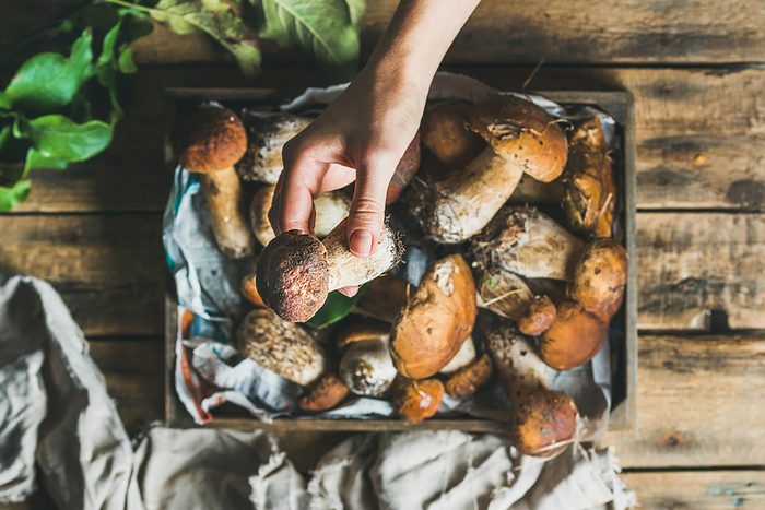 Boost your immunity naturally | Mushrooms