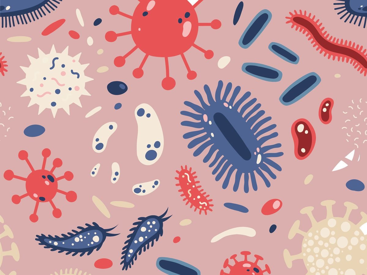 How to Build a Strong Gut Microbiome | Best Health Canada