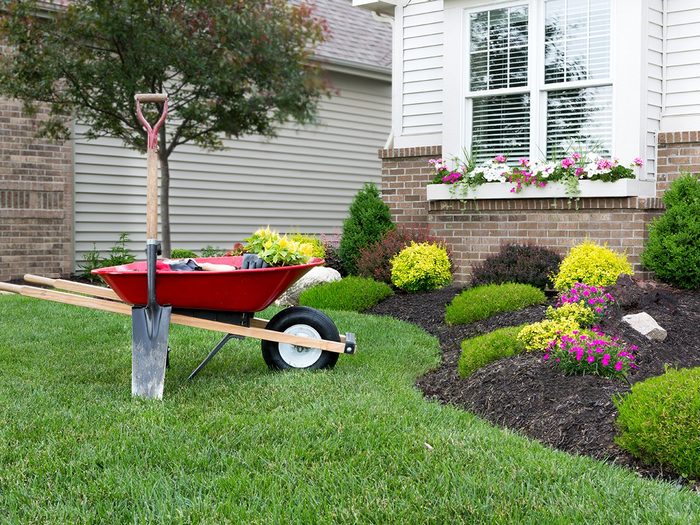 How to make walking less boring - pretty landscaping