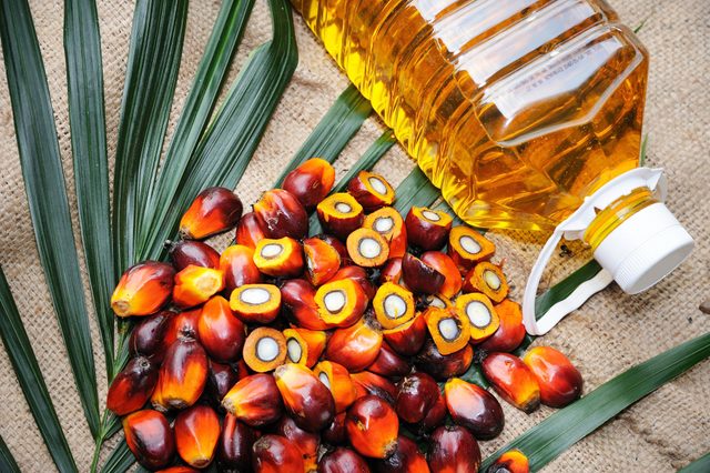 healthiest cooking oils | Fresh oil palm fruits