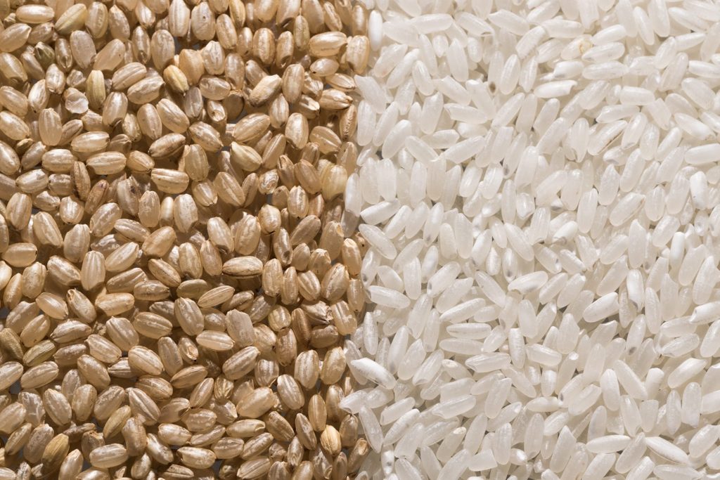 Brown Rice vs. White Rice | shot of brown rice and white rice next to each other