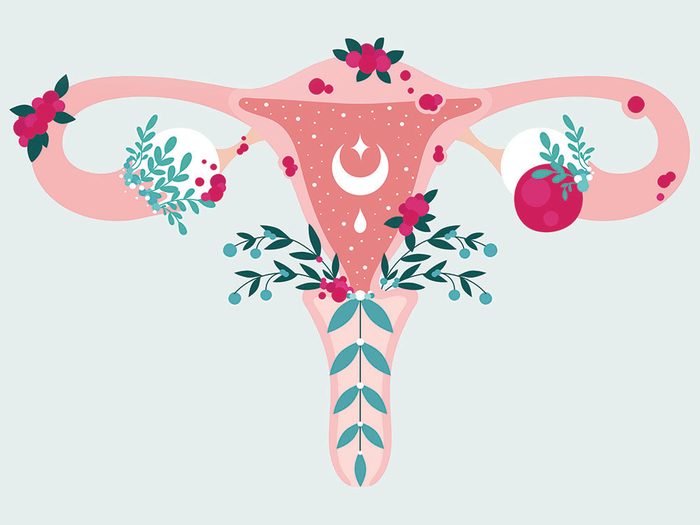 Women health. Anatomical scheme of endometriosis Uterus flowers | freezing eggs in quarantine