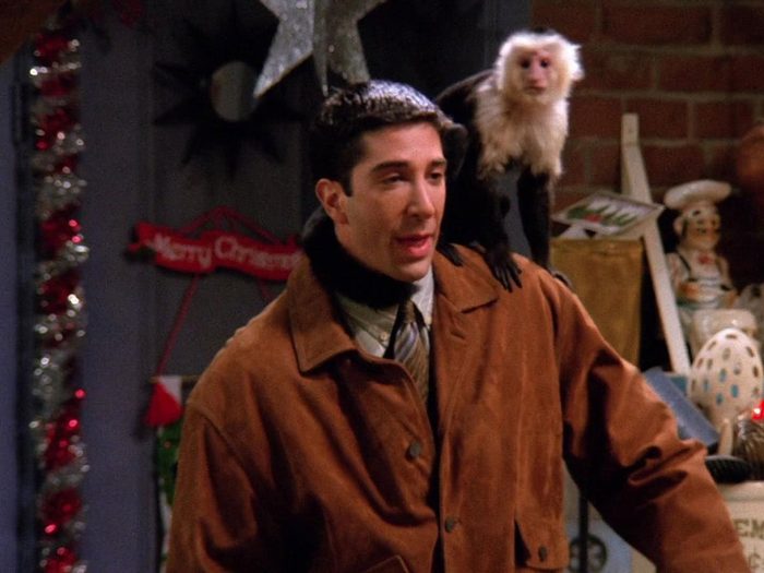 Friends - The One with the Monkey
