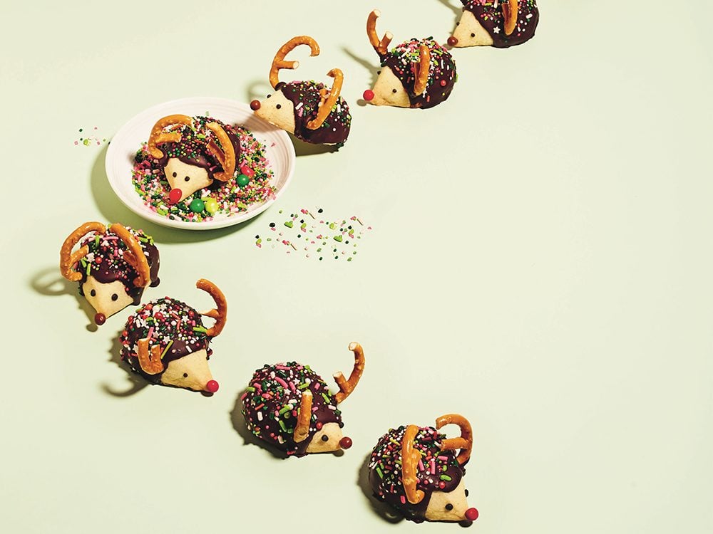 holiday cookie recipes | kim-joy christmas cookies | little hedgehog cookies arranged to look like they're marching through sprinkles