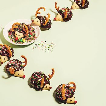 kim-joy christmas cookies | little hedgehog cookies arranged to look like they're marching through sprinkles