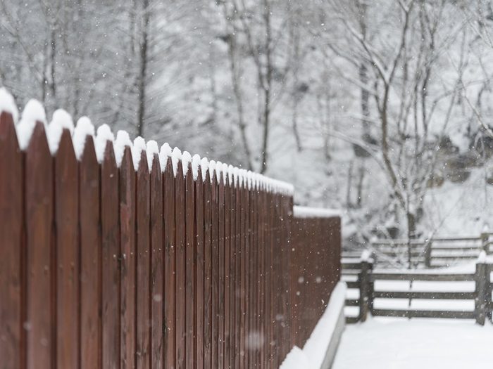 Stay Warm COVID-19 Winter - Build Windbreak Fence in your back yard