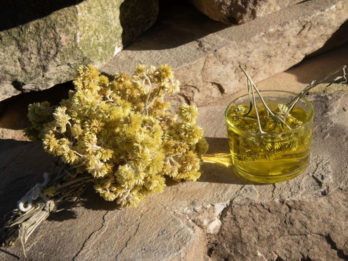 Macela Flowers and medicament on rocks.