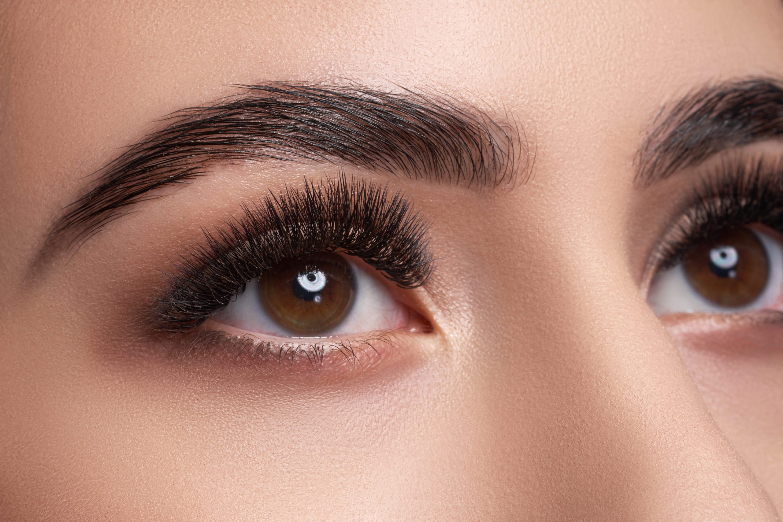 close up of a woman's eye and eyelashes 