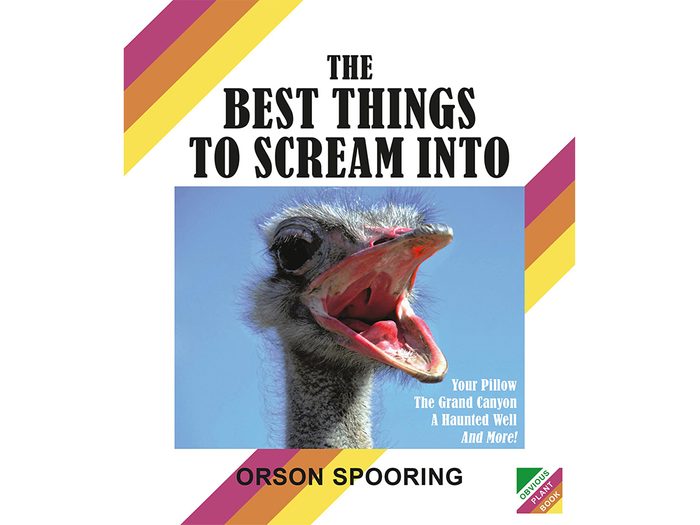 Things To Scream Into