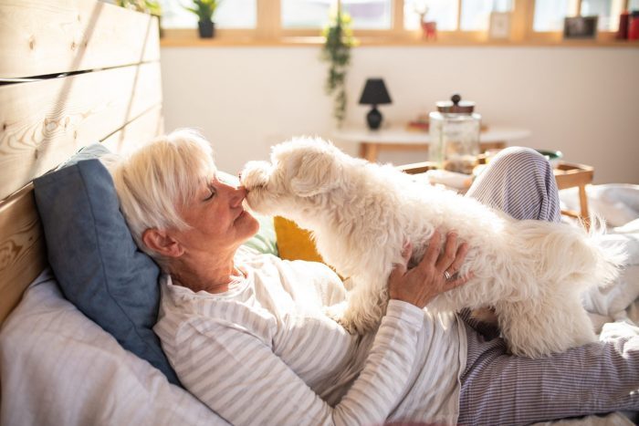 Everything Veterinarians Want You to Know About Hypoallergenic  Dogs