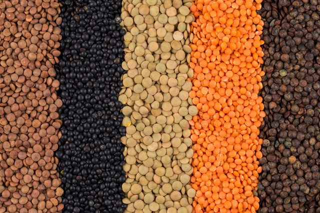 lentils nutrition | Various Legumes Lentils