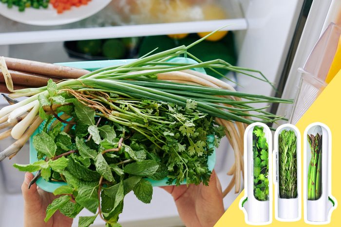 Herbs In The Fridge with inset of herb preserver