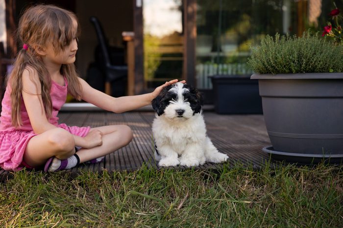 Girl 6 7 Stroking Black And White Puppy Affectionately Whilst Sitting Together In A Back Yard