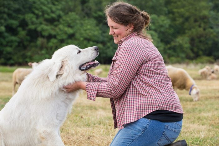 Caucasian Farmer Petting Dog In Field 2