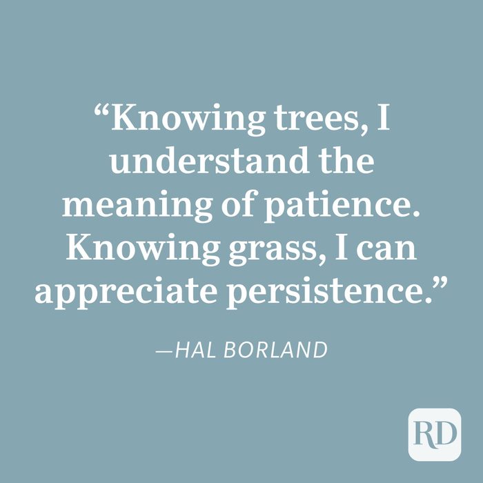 Hal Borland Patience Quote