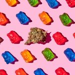 Our Favourite CBD Edibles, Available in Canada