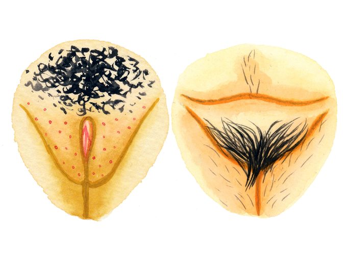Sex Education Vulva Images Inline2