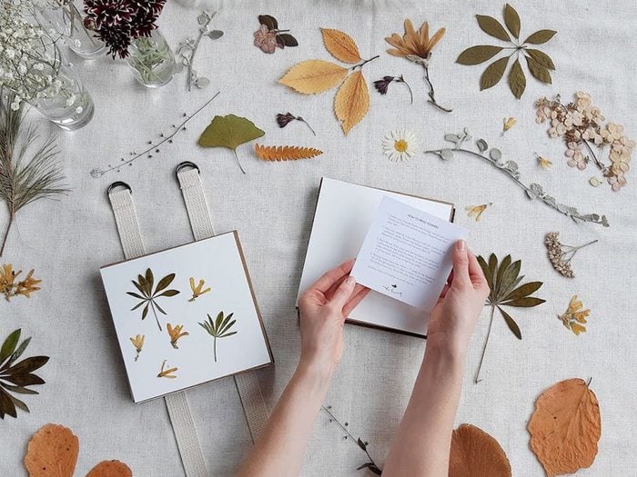 A photograph of someone pressing flowers as an example of Craft Kits For Adults Canada Feature