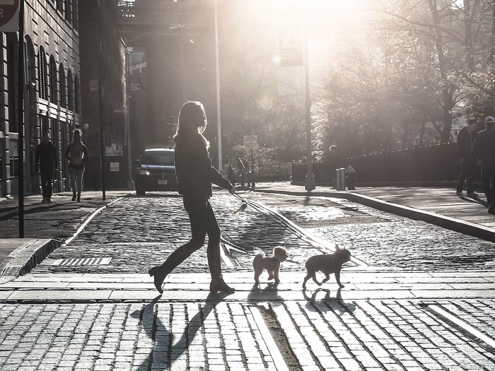 don't need to play sports to be active | woman walking dogs