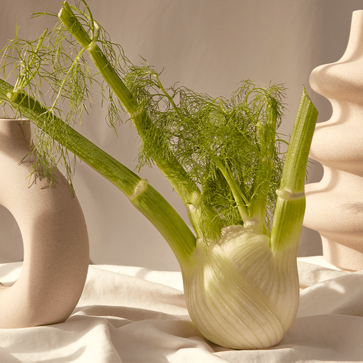 what is fennel } fennel benefits | fennel recipes | Fennel Credit Christie Vuong