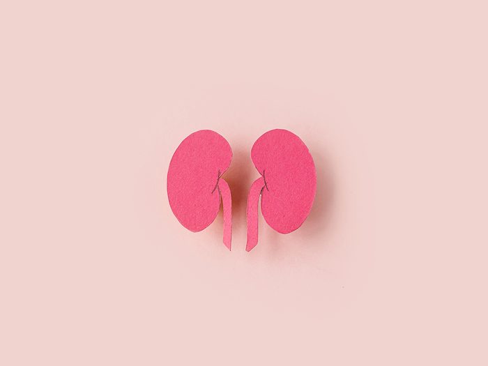 World,kidney,day.,kidney,shaped,paper,on,pink,background.,national