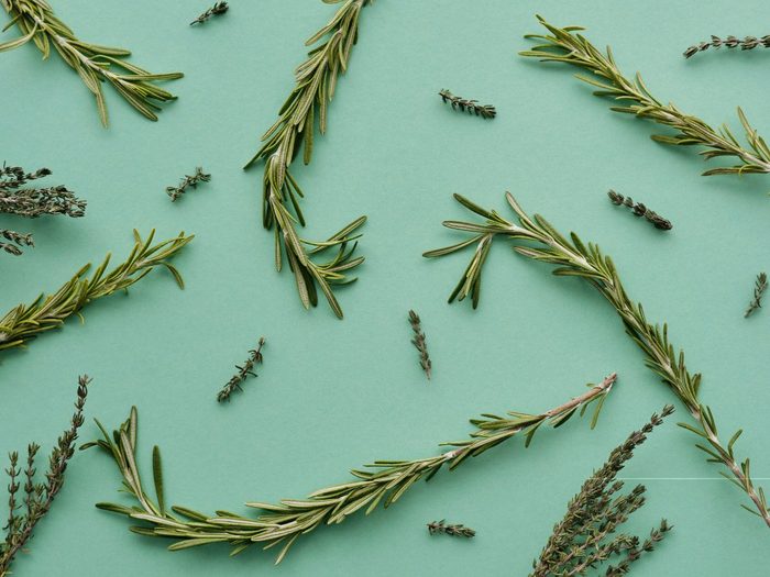 rosemary leaves on a green background