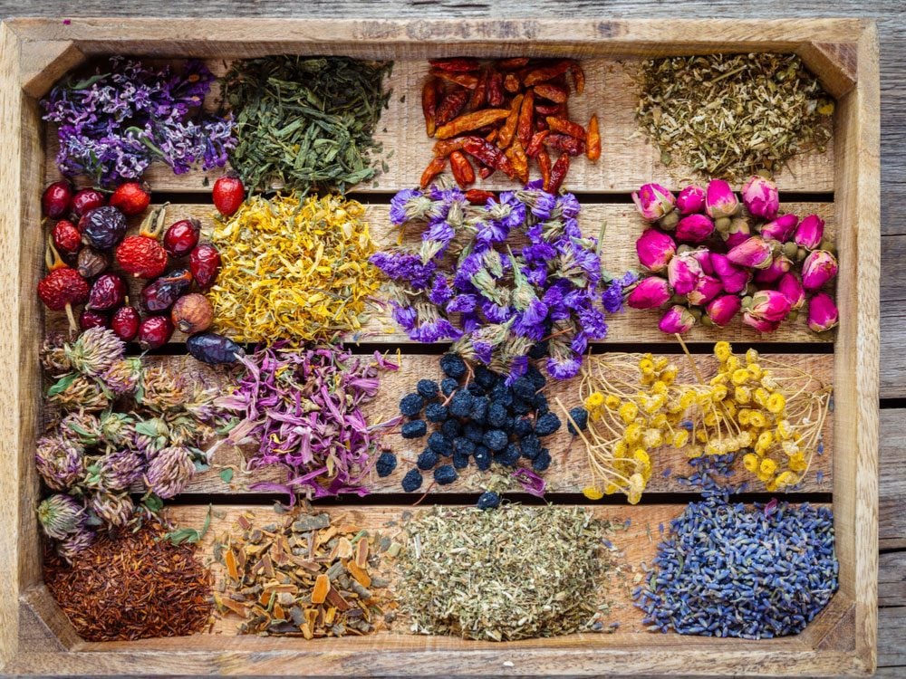 Herbal Remedies: The Amazing Health Benefits of Herbs