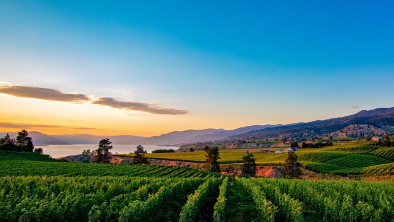 winery tours osoyoos bc